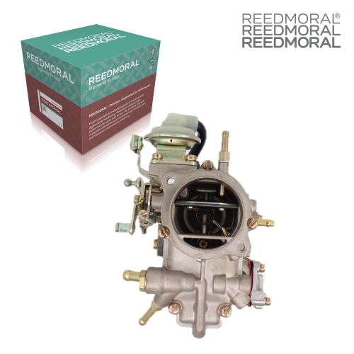 LDH113F REEDMORAL carburetor - top with REEDMORAL packaging