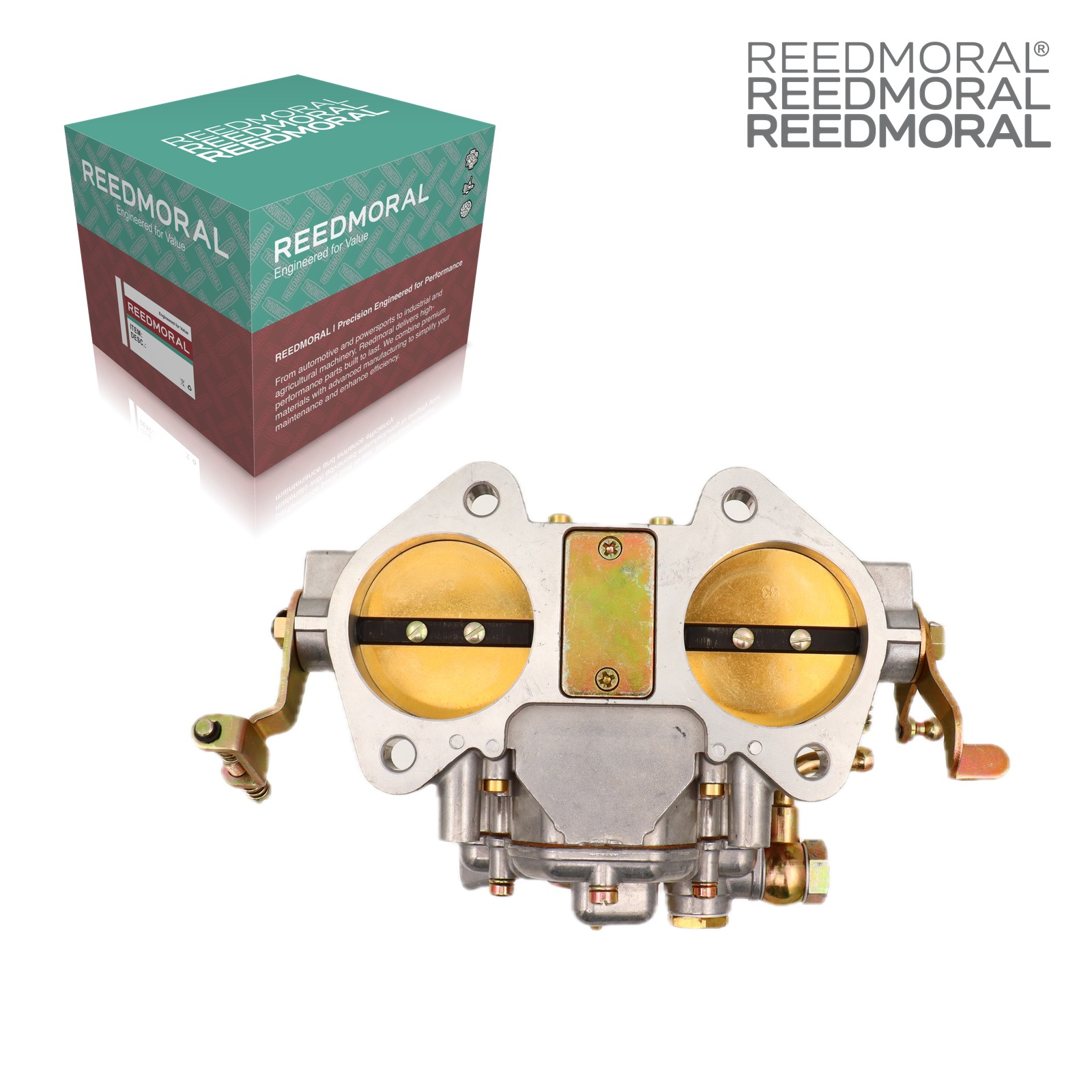 LDH265C REEDMORAL 50 DCO/SP-Type 19650.002 - mounting flange view with REEDMORAL box