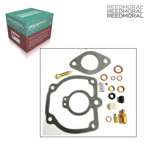 ARK1022-1 REEDMORAL Carburetor Repair Kit S.68330 0236821 BK12V main view