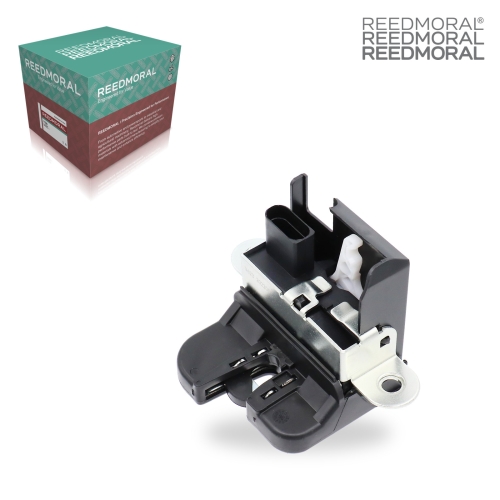 CS001 REEDMORAL Tailgate Lock Assembly 1P0 main view