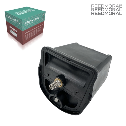 DHXQ001 REEDMORAL Front-Mount 12V Ignition Coil 9N12024 main view