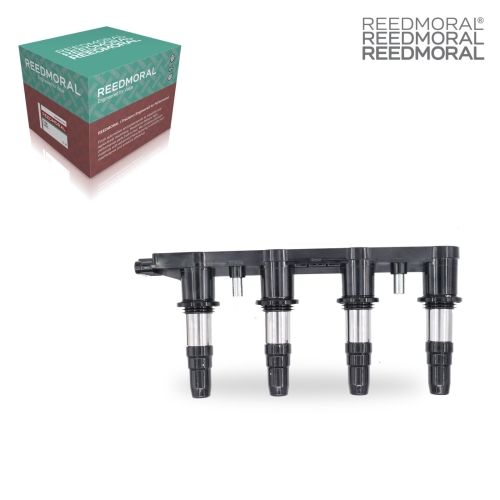 DHXQ002 REEDMORAL replacement product main view