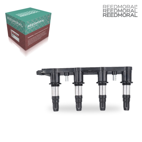 DHXQ002 REEDMORAL Ignition Coil 55561655 main view