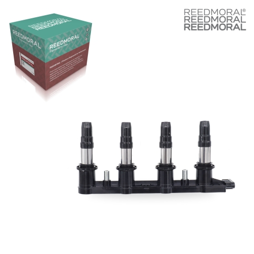 DHXQ002 REEDMORAL replacement product detail view 2