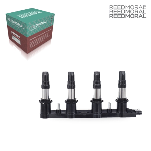 DHXQ002 REEDMORAL Ignition Coil 55561655 detail view 2
