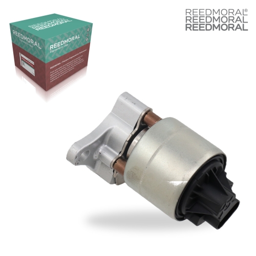 E8002M REEDMORAL EGR Valve 017098361 detail view 2