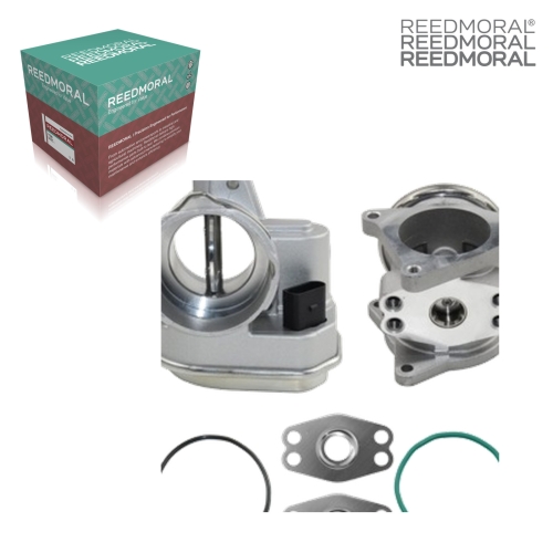 E8008 REEDMORAL Exhaust Gas Recirculation Valve MN980163 MN980325 038129637D 038131501S 038131501AF 038131501AN detail view 2