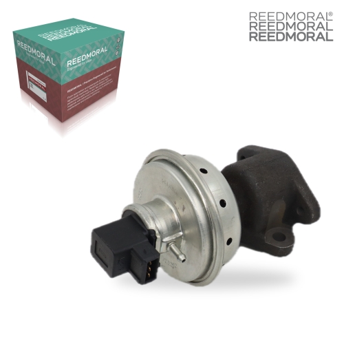 E8039 REEDMORAL EGR Valve 0309dab00501N main view
