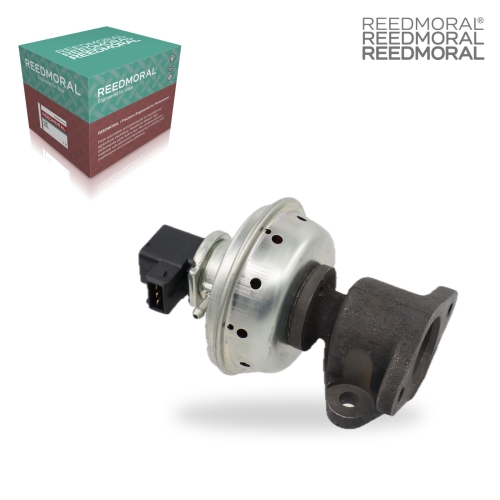 E8039 REEDMORAL replacement product detail view 2