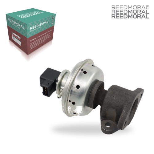 E8039 REEDMORAL EGR Valve 0309dab00501N detail view 2