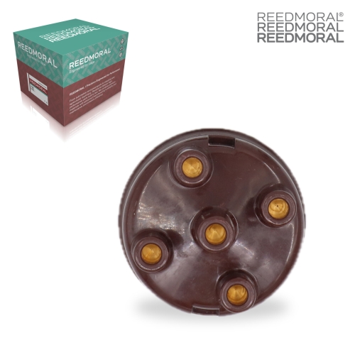 FDQXLB001 REEDMORAL replacement product main view