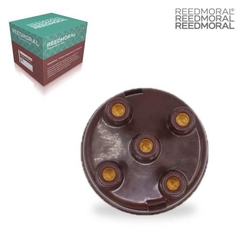 FDQXLB001 REEDMORAL replacement product detail view 2