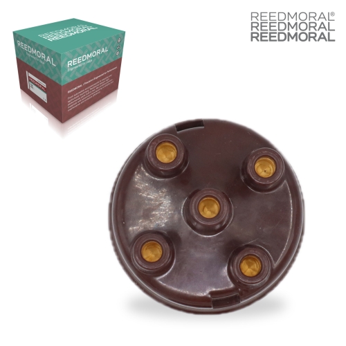 FDQXLB001 REEDMORAL Ignition Distributor Cap Tune-Up Kit ABC310 detail view 2