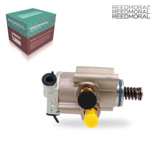 GYYB003 REEDMORAL High Pressure Fuel Pump 06F127025B main view