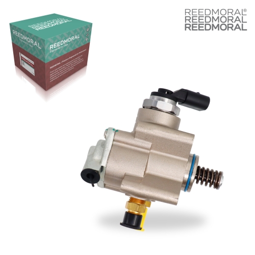 GYYB003 REEDMORAL High Pressure Fuel Pump 06F127025B detail view 2