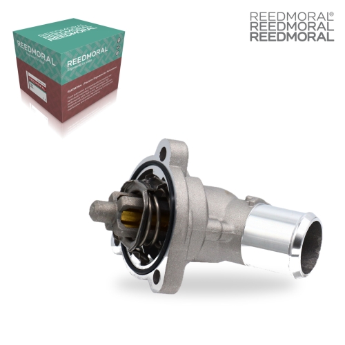 JWQ001 REEDMORAL Engine Thermostat Assembly 25192923/96988257 main view