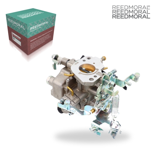 LDH116B REEDMORAL Carburetor Assembly 21100-87134 main view