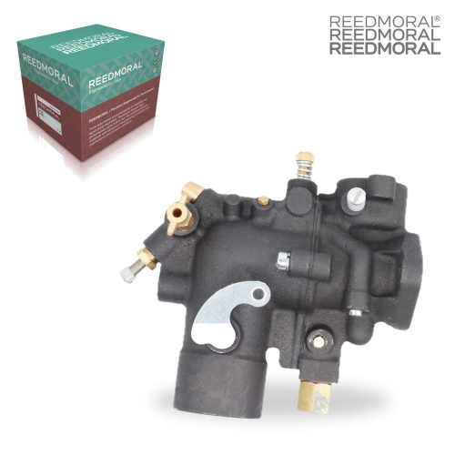 LDH167 REEDMORAL Carburetor Assembly 50981DA main view