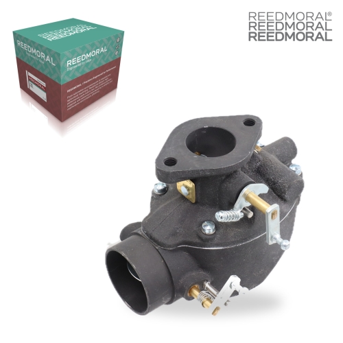 LDH180 REEDMORAL Carburetor Assembly 310015 detail view 2