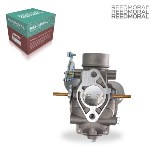 LDH185A REEDMORAL Carburetor Assembly 184301M92 main view