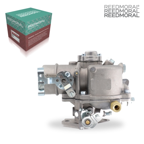 LDH185B REEDMORAL Carburetor Assembly 13913B detail view 2