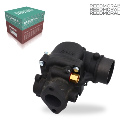 LDH193 REEDMORAL carburetor assembly single product main view