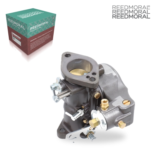 LDH198A REEDMORAL Carburetor Assembly JDS3393 main view