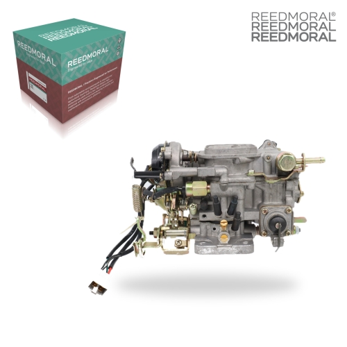 LDH208S REEDMORAL Carburetor Assembly LDH208S detail view 2