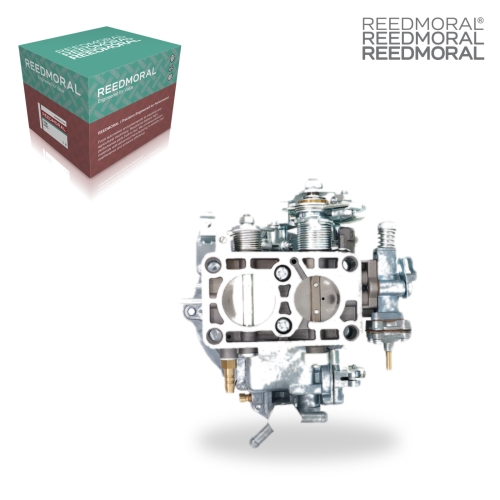 LDH240F REEDMORAL Carburetor Assembly K151T-1107010 main view
