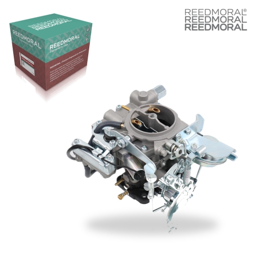 LDH253C REEDMORAL Carburetor Assembly 21100-13540 detail view 2