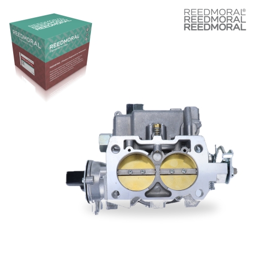 LDH268K REEDMORAL Carburetor Assembly LDH268K detail view 2