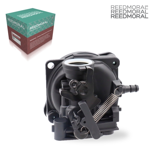 LDH8001 REEDMORAL Carburetor Assembly 799584 main view