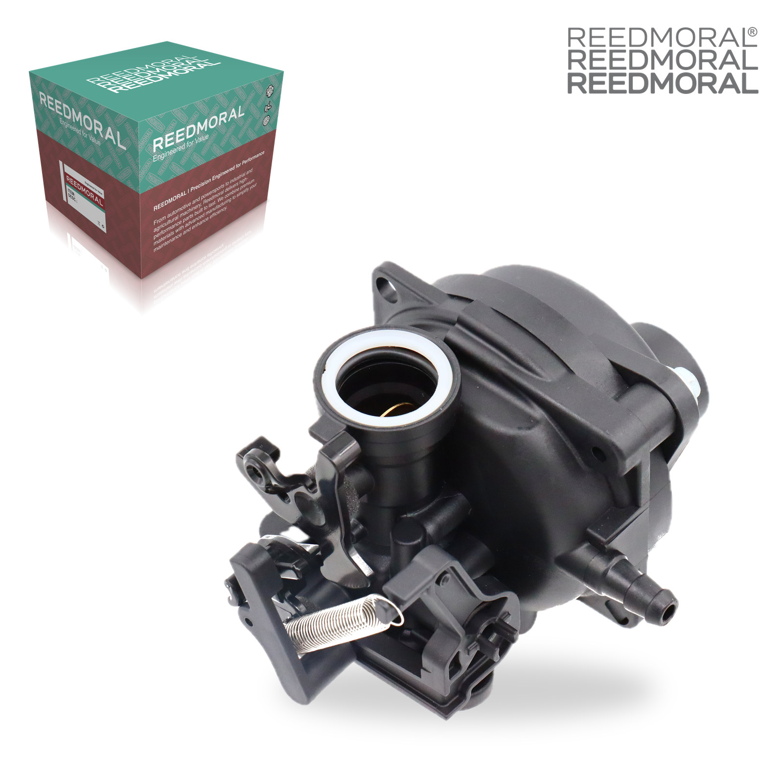 LDH8001 REEDMORAL Carburetor Assembly 799584 detail view 3