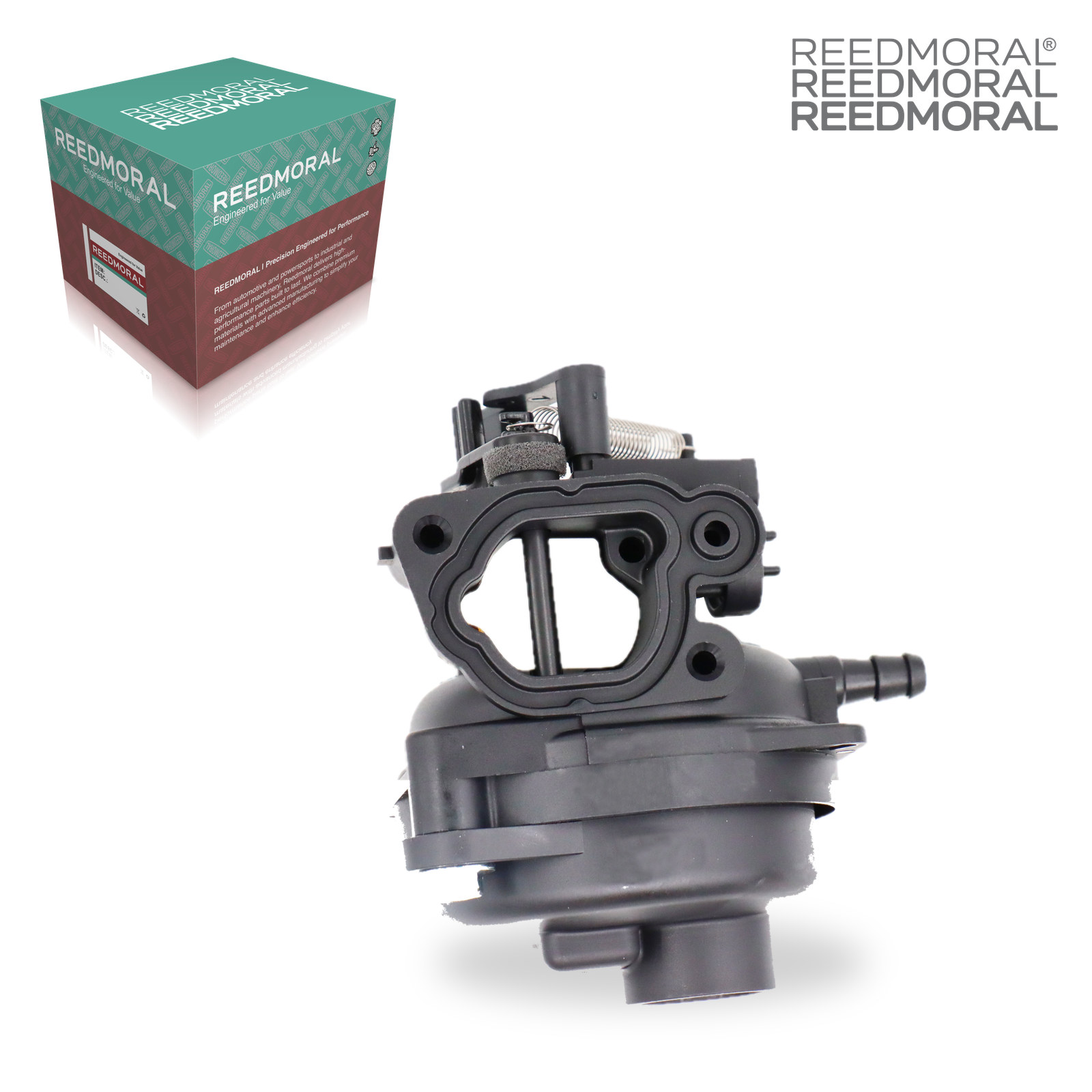 LDH8001 REEDMORAL Carburetor Assembly 799584 detail view 5