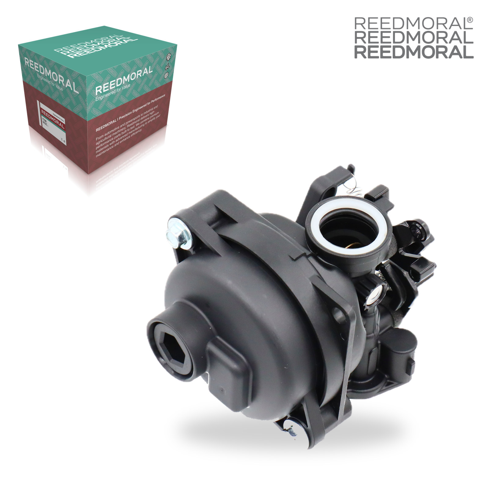 LDH8001 REEDMORAL Carburetor Assembly 799584 detail view 6