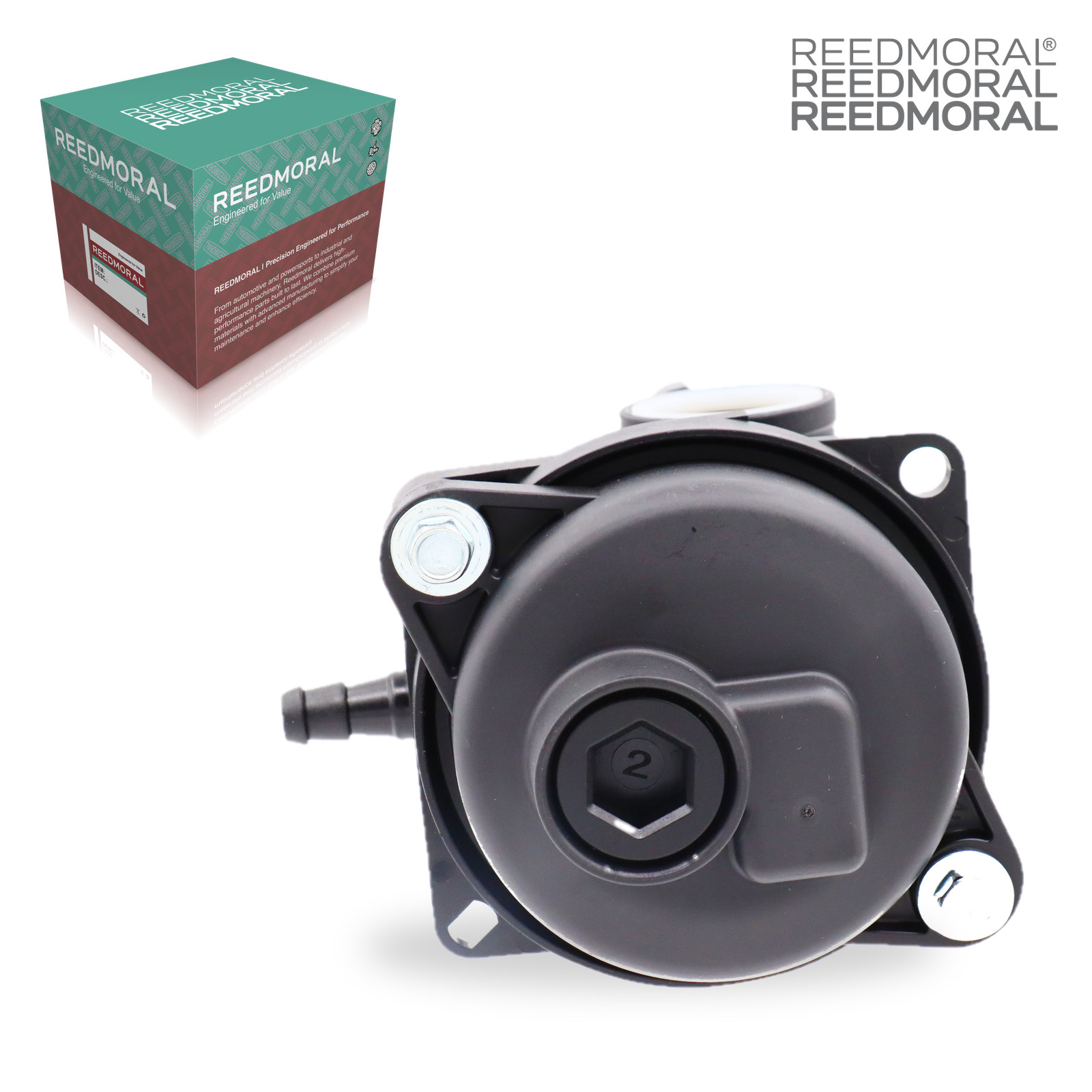 LDH8001 REEDMORAL Carburetor Assembly 799584 detail view 7