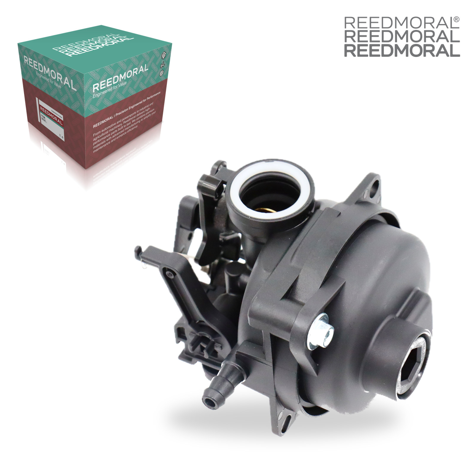 LDH8001 REEDMORAL Carburetor Assembly 799584 detail view 8