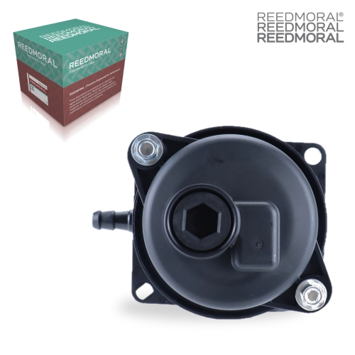LDH8002 REEDMORAL Carburetor Assembly 591160 main view
