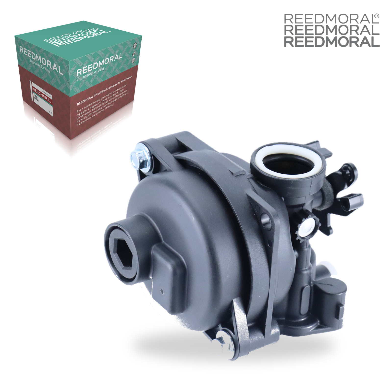 LDH8002 REEDMORAL Carburetor Assembly 591160 detail view 2