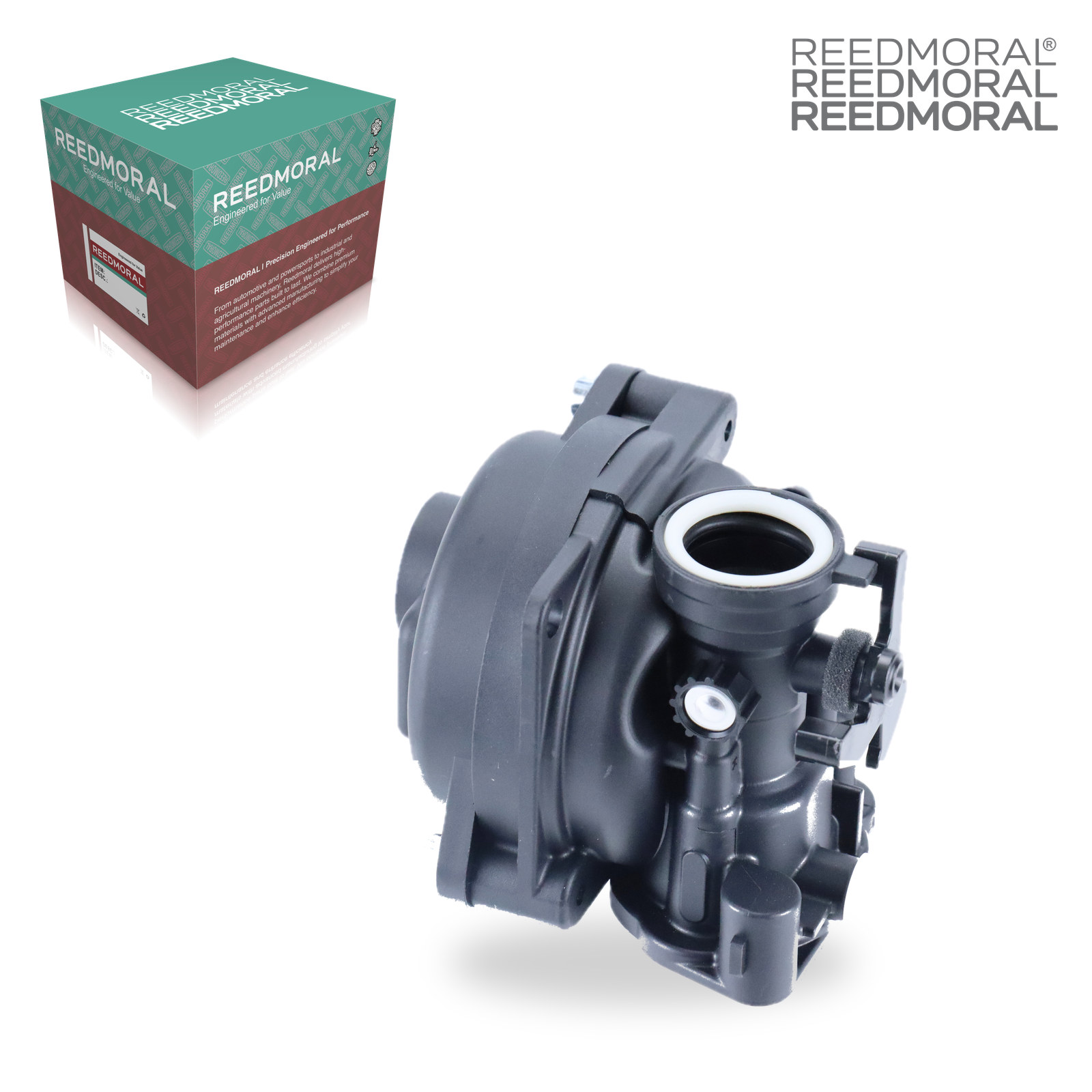 LDH8002 REEDMORAL Carburetor Assembly 591160 detail view 3