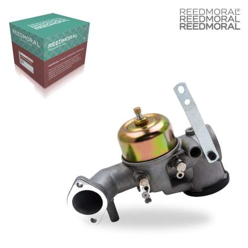 LDH880 REEDMORAL Carburetor Assembly LDH880 detail view 2