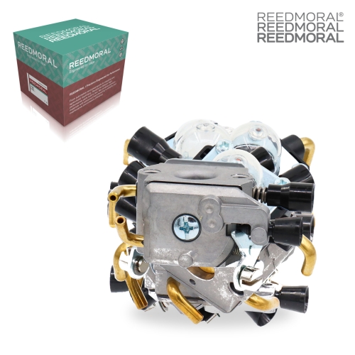 LDH883 REEDMORAL Carburetor Assembly FS38 main view