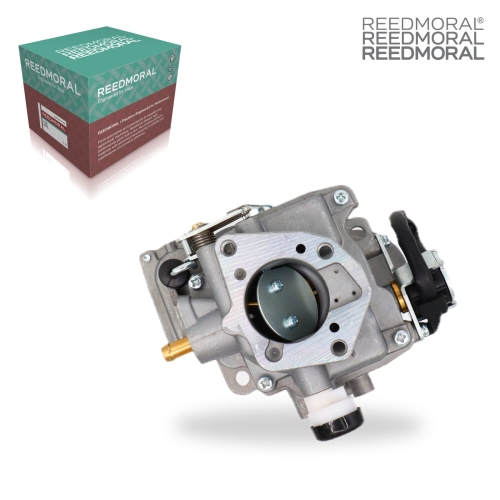 LDH892 REEDMORAL Carburetor Assembly 24 main view