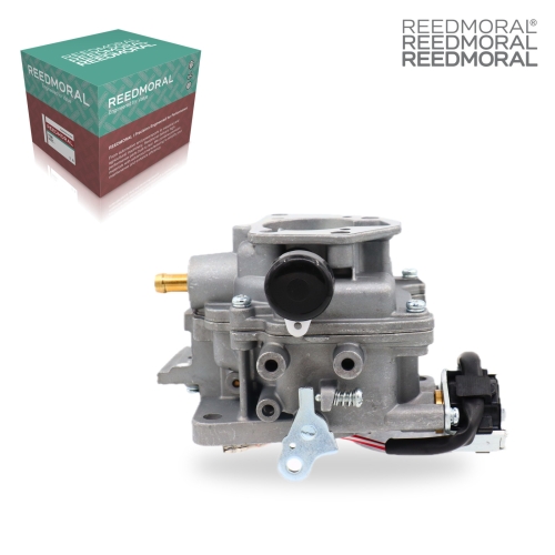 LDH892 REEDMORAL Carburetor Assembly 24 detail view 2