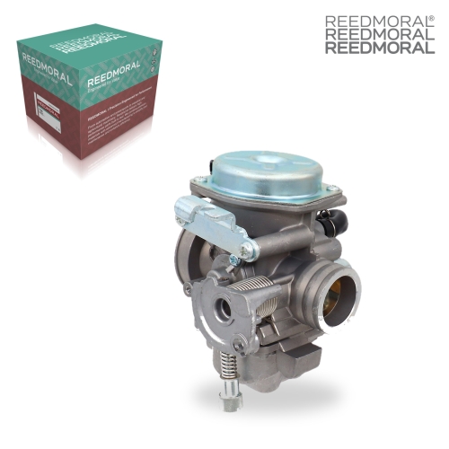 LDH951 REEDMORAL carburetor assembly single product main view