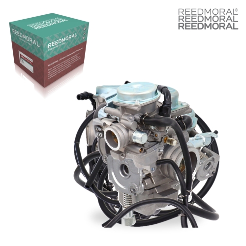 LDH951 REEDMORAL Carburetor Assembly 74-651 main view