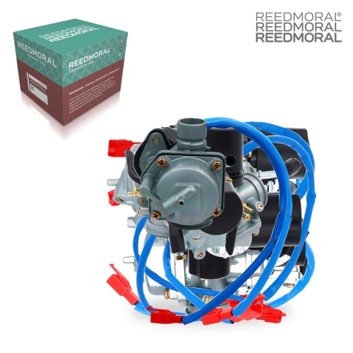 LDH963 REEDMORAL Carburetor Assembly LDH963 main view