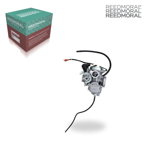 LDH966 REEDMORAL replacement product main view