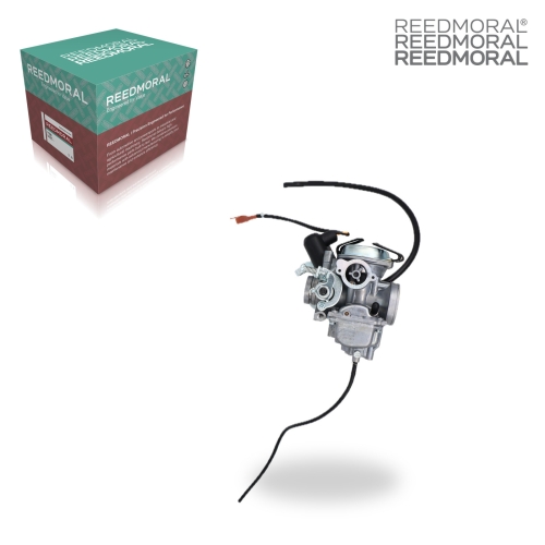 LDH966 REEDMORAL Carburetor Assembly AN125 main view