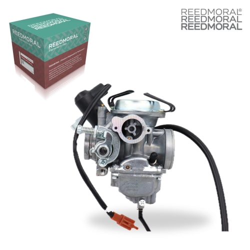 LDH966 REEDMORAL Carburetor Assembly AN125 detail view 2